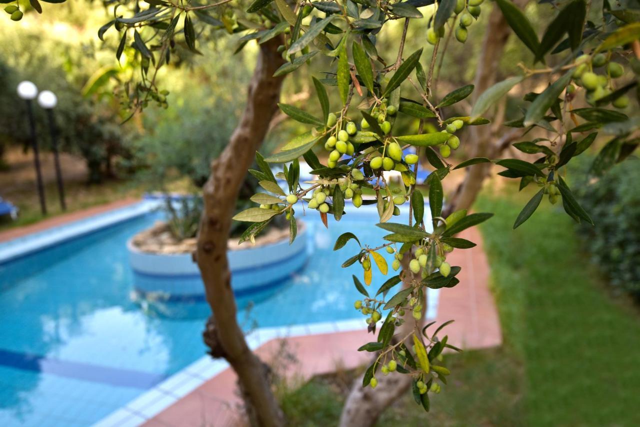 Villa Olive Farm Agia Marina Exterior foto